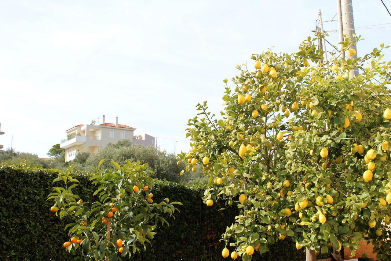 Helen'S Sounio Apartments Sounion Exterior foto